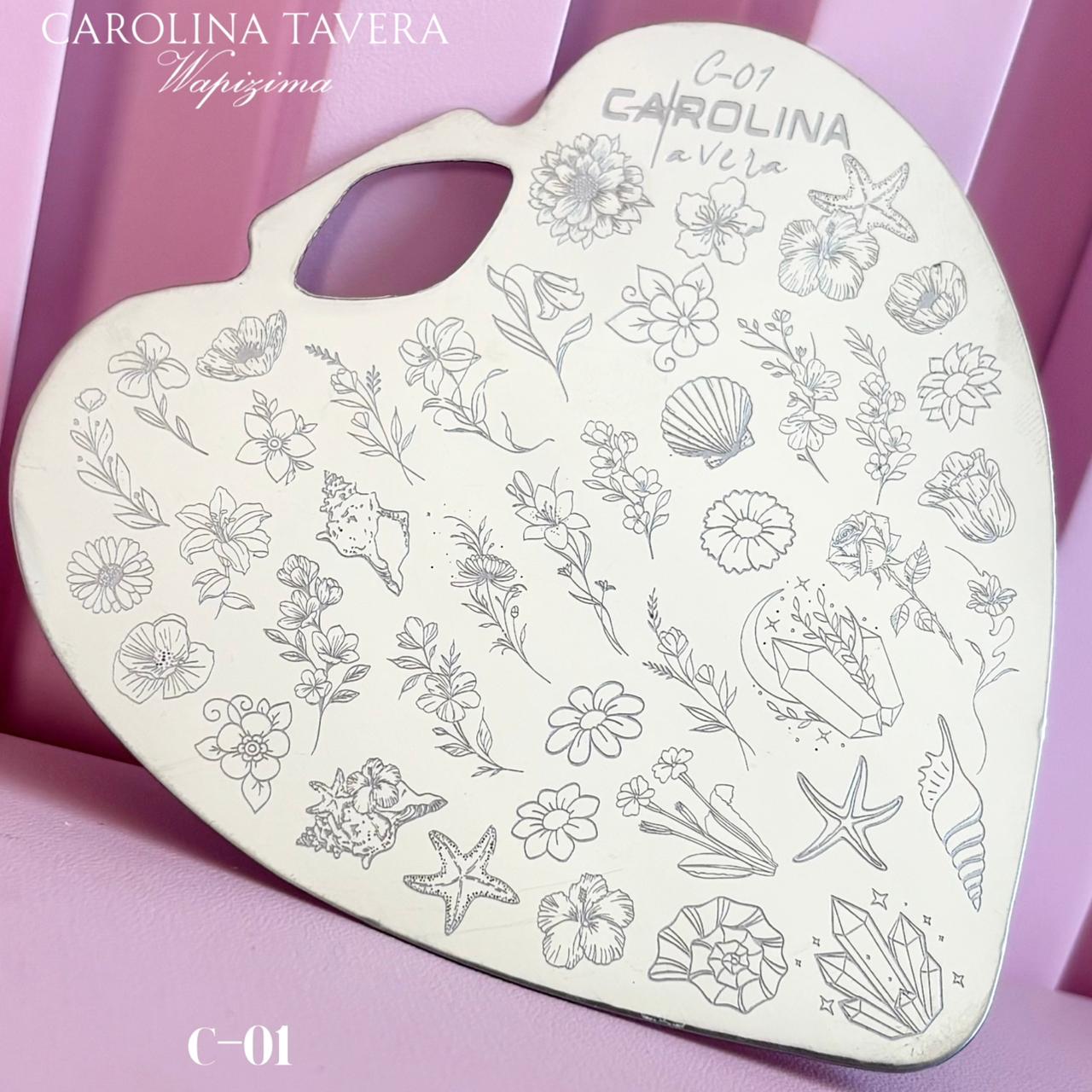 Placas "C-01" Teddy