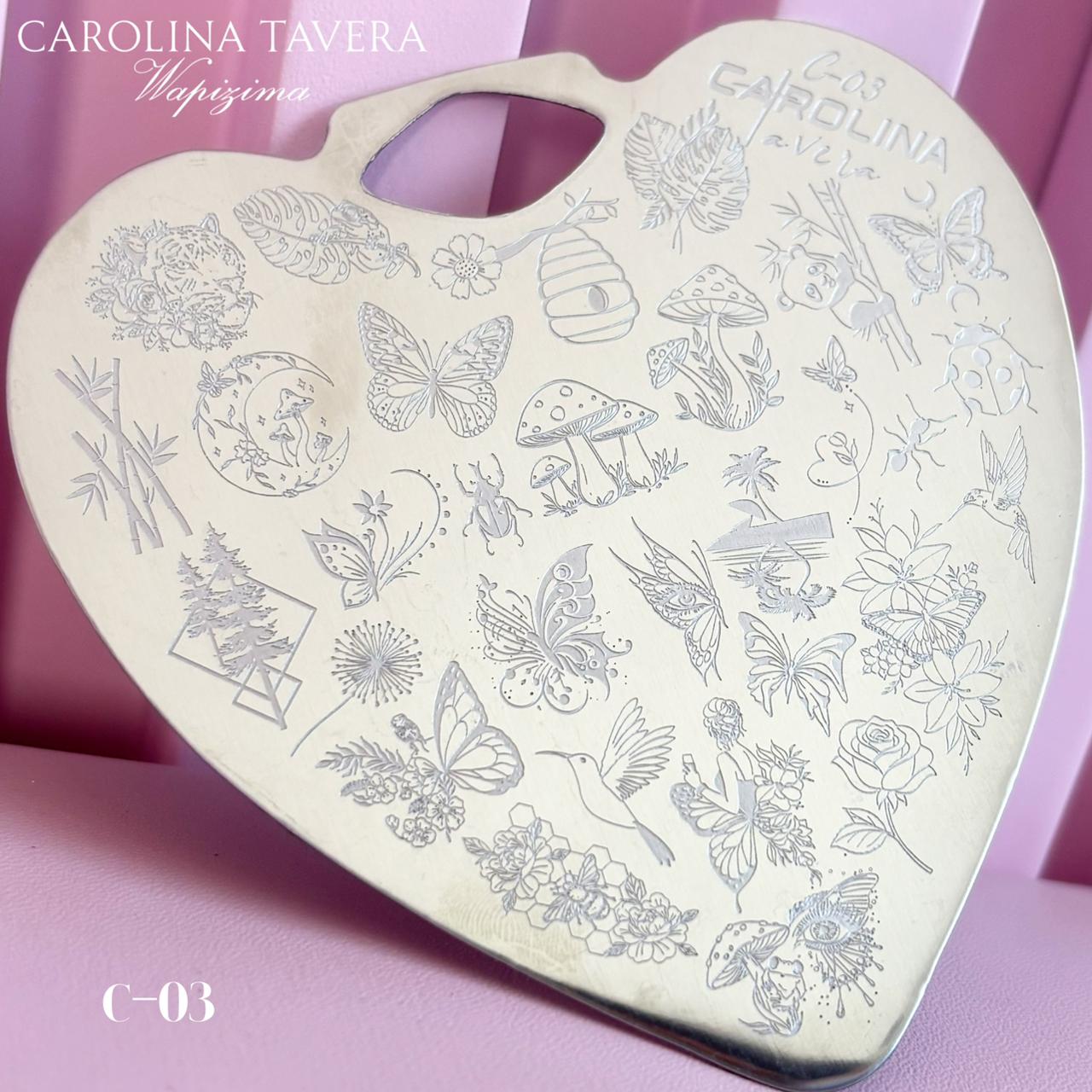 Placas  "C-03" Teddy